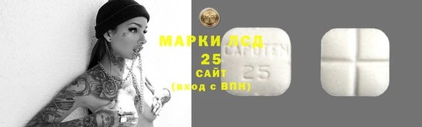 a pvp Алзамай