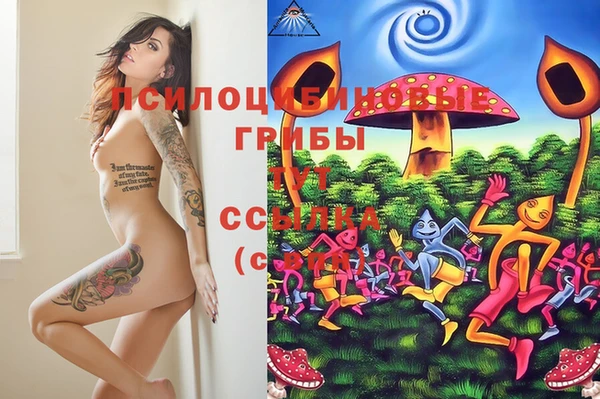 круглые Алексин
