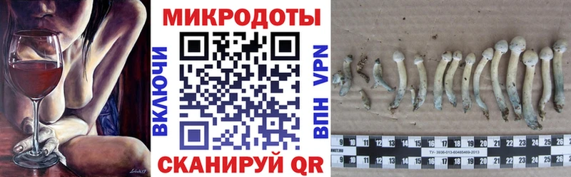 Псилоцибиновые грибы мухоморы  Спасск 